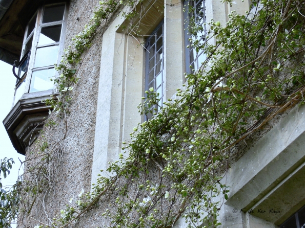 Bois des Moutiers (70) Mai 2012